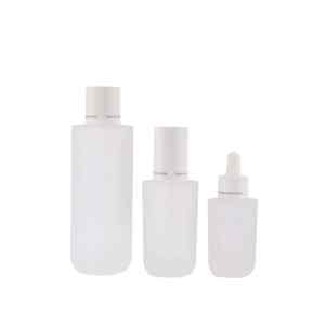 DSC06253 30/50/100/120ml Lotion Bottle with Pump and Dropper Bottle BP629