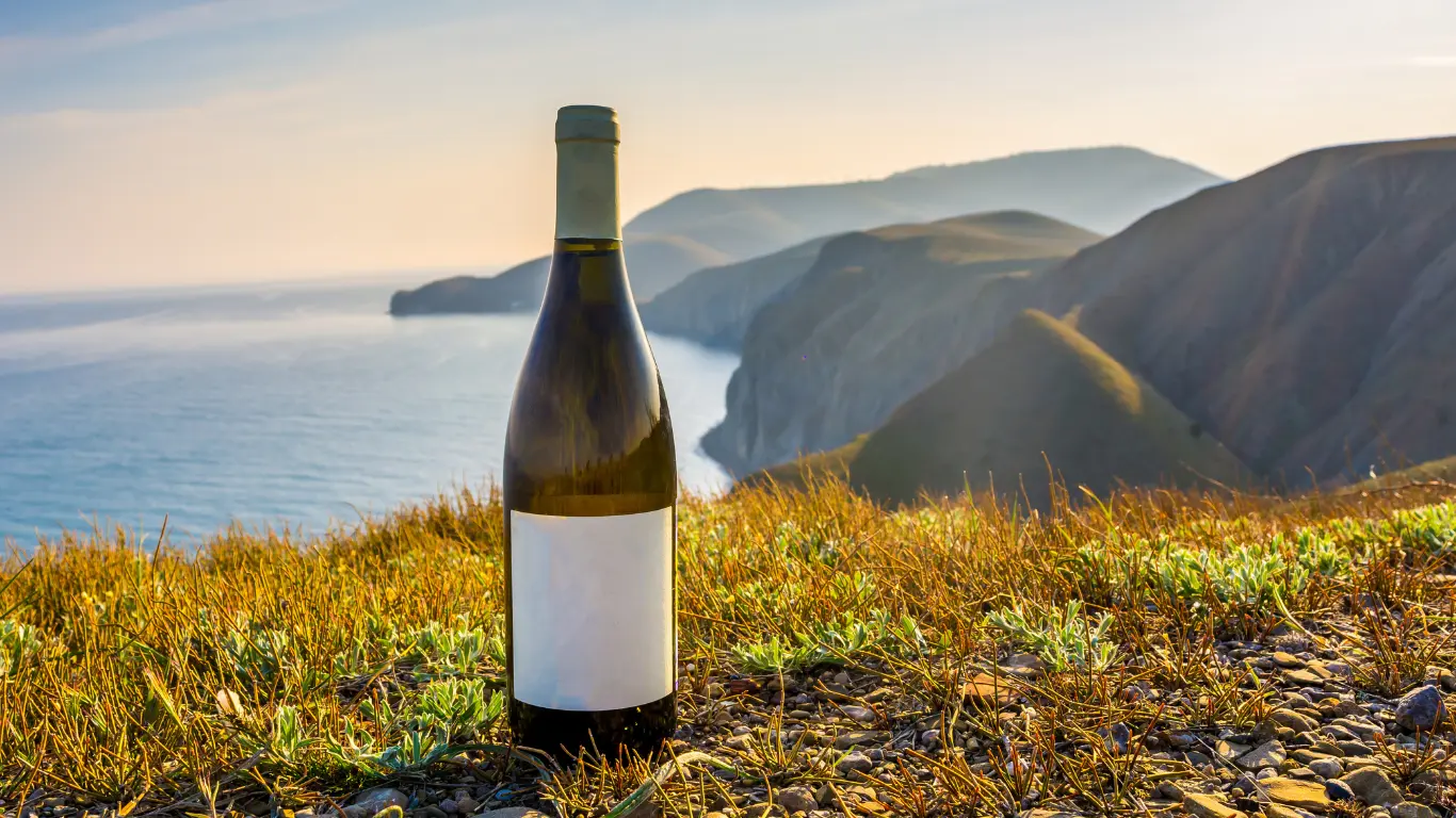 A sustainable wholesale beverage bottle made of recyclable glass standing on a scenic coastal mountain ridge.